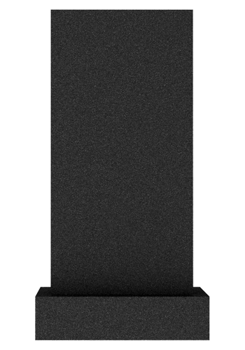  V001