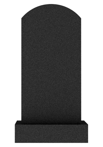  V002