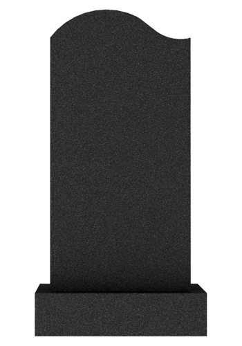  V003