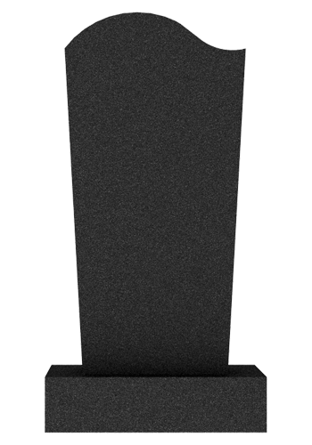 V004