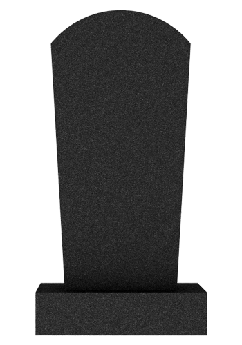  V005