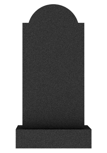  V006