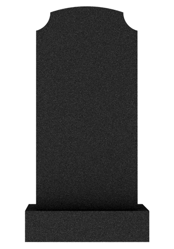  V007