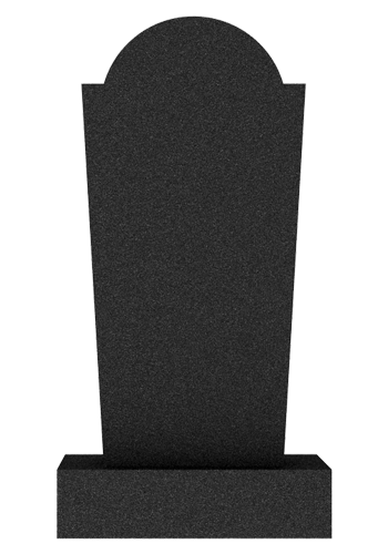  V008