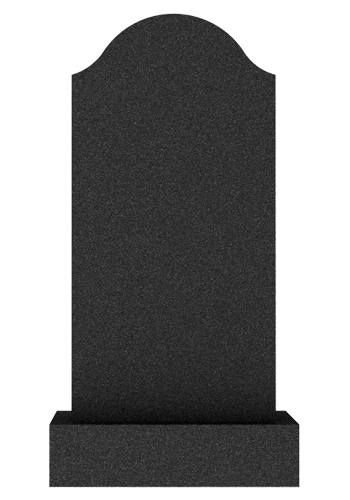  V009