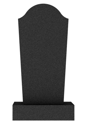  V010
