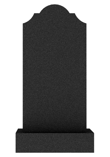  V011