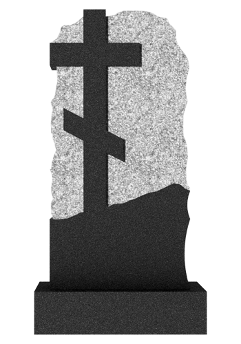  V017