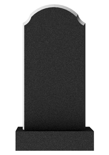  V018