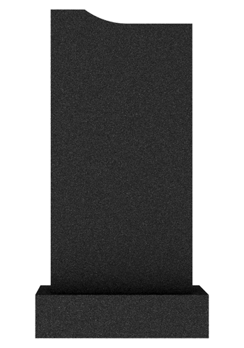  V019