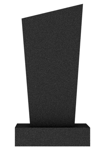  V020
