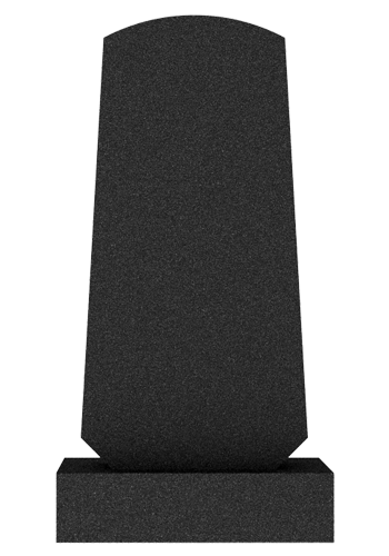  V021