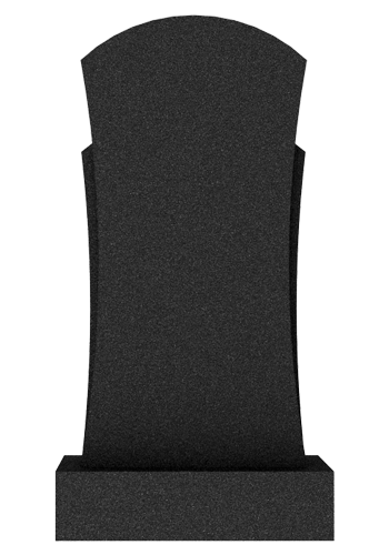  V027