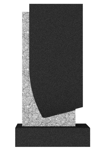  V029