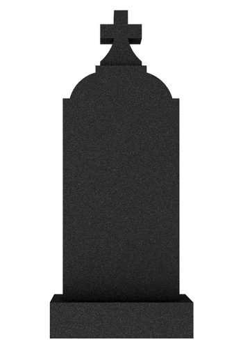  V048