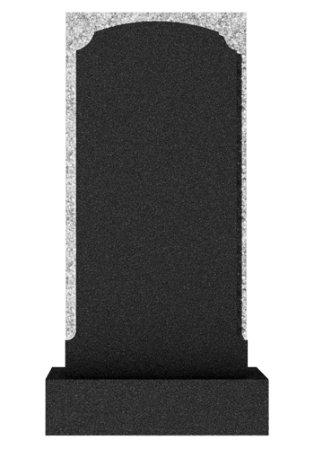  V050